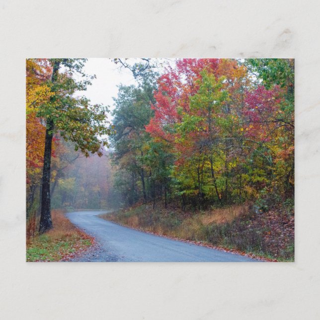 Carte Postale Massanutten Pittoresque Drive en Automne, Virginie (Devant)