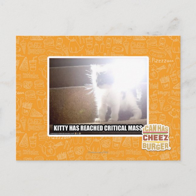 Carte Postale Masse critique Kitty (Devant)