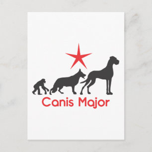 Carte Postale Mastiff Allemand Canis Major