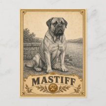 Mastiff, Chien du Patrimoine Vintage