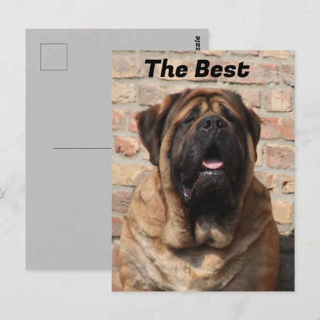 Carte Postale Mastiff dogue anglais fête des pères (Devant / Derrière)