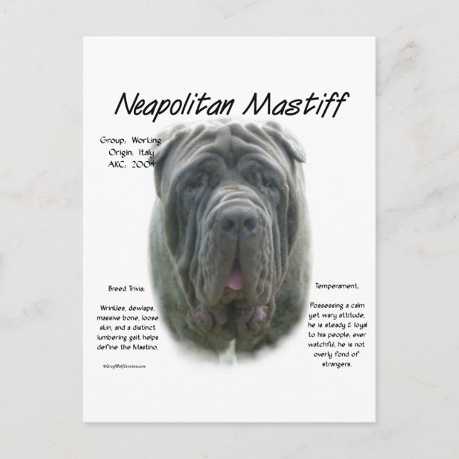 Carte Postale Mastiff napolitain (gris) (Devant)