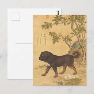 Carte Postale Mastiff Tibétain Vintage Art Impérial Chinois