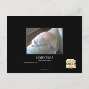 Carte Postale Matin