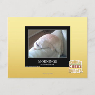 Carte Postale Matin
