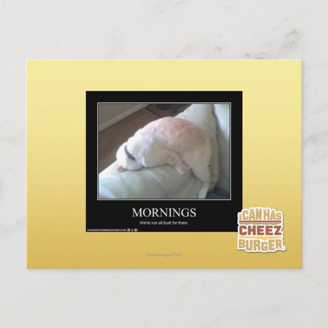 Carte Postale Matin (Devant)
