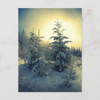 Carte Postale Matin d'hiver