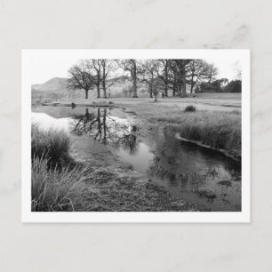 Carte Postale Matin d'hiver : baie de Strandshag, Derwentwater