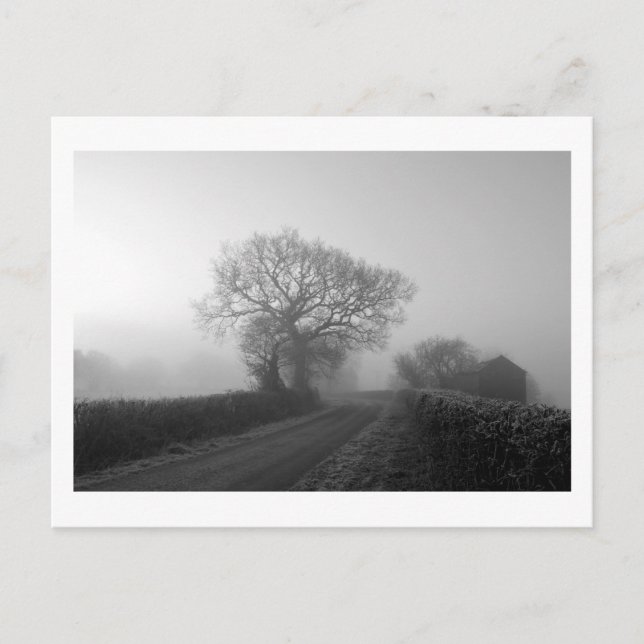 Carte Postale Matin d'hiver : Cheshire, Angleterre (Devant)