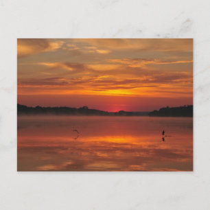 Carte Postale Matin précieux - Rinyaszentkiraly, Hongrie 2008