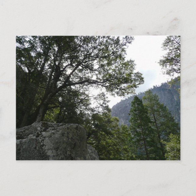 Carte Postale Matin sur le sentier à Vernal Falls à Yosemite (Devant)