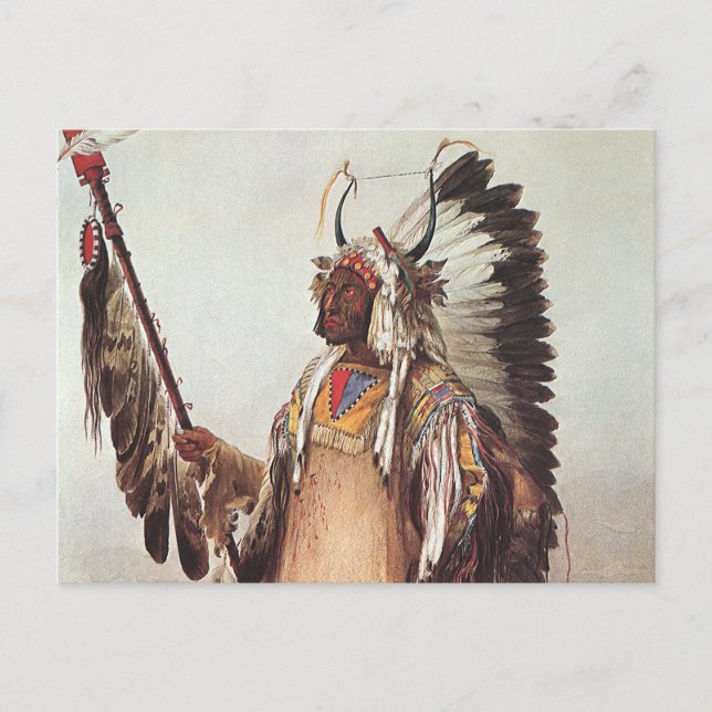 Carte Postale Mato-Tope, Portrait d'un chef Mandan par Karl Bodm (Devant)