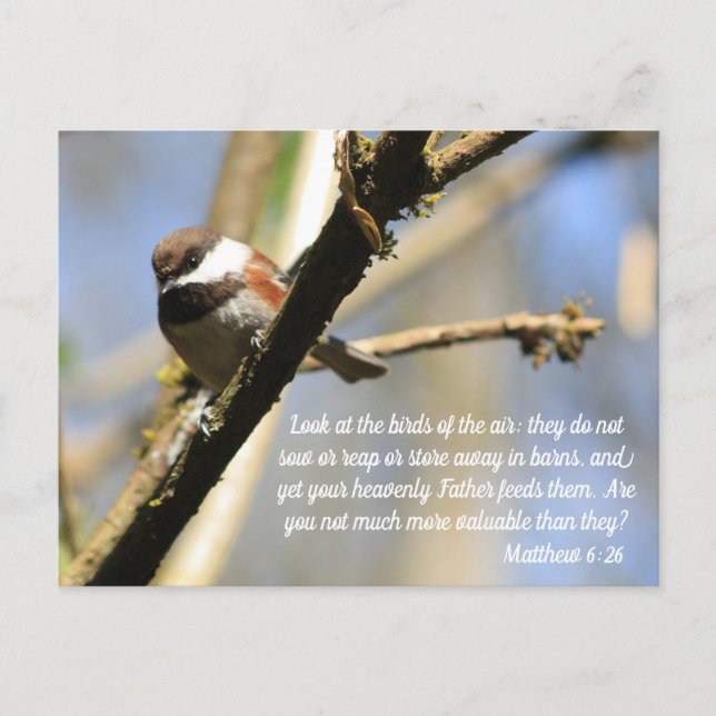 Carte Postale Matthieu 6:26 Écriture des oiseaux (Devant)