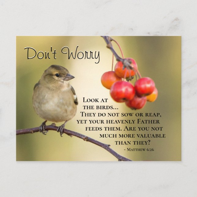 Carte Postale Matthieu 6:26 Verse de la Bible, ne vous inquiétez (Devant)
