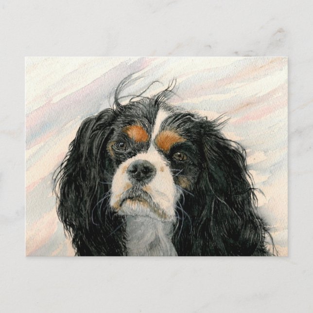 Carte Postale Mattie le roi Charles Cavalier Spaniel (Devant)