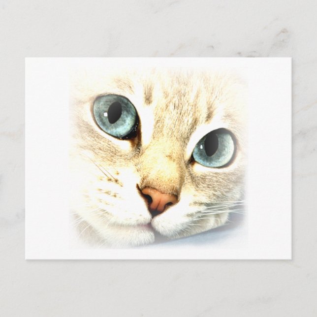 Carte Postale MatYES (Devant)