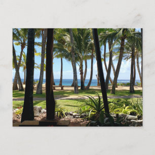 Carte Postale Maui Beach Palmiers Hawaii
