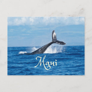 Carte Postale Maui Hawaii Océan Queue de Baleine