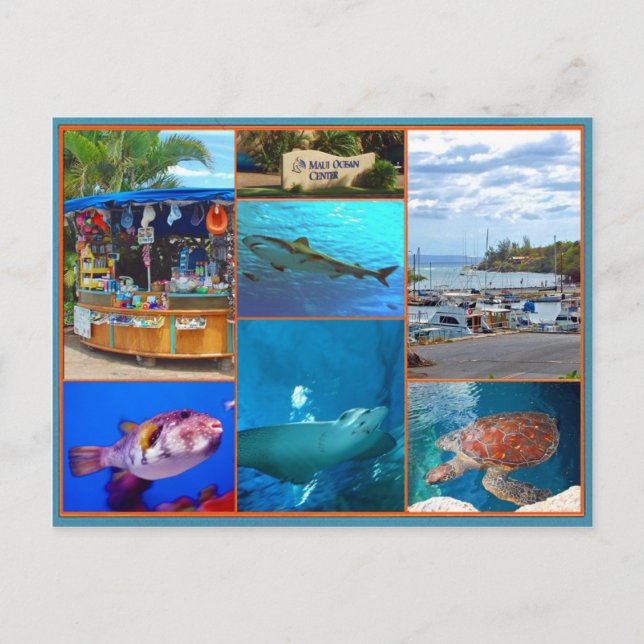 Carte Postale Maui Ocean Centre (Devant)