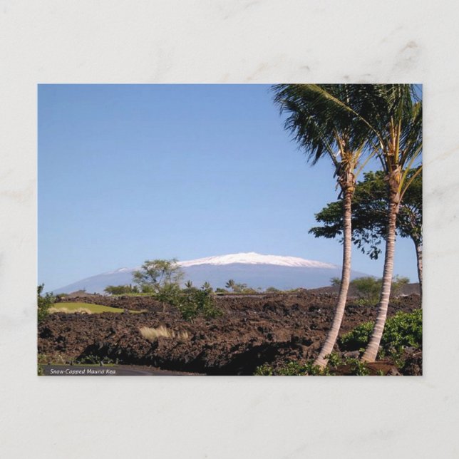 Carte postale Mauna Kea à cou de neige (Devant)