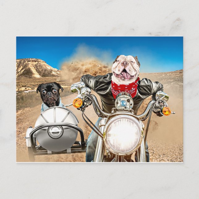 Carte Postale Mauvais pour l'os (Devant)