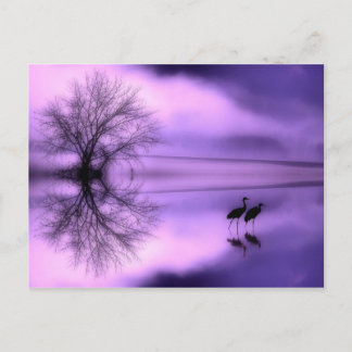 Carte postale mauve