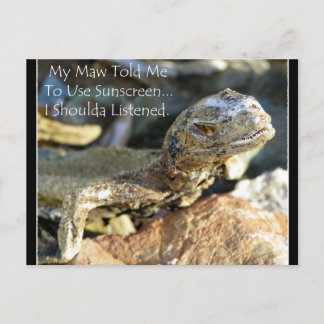 Carte Postale "Maw connaît mieux"