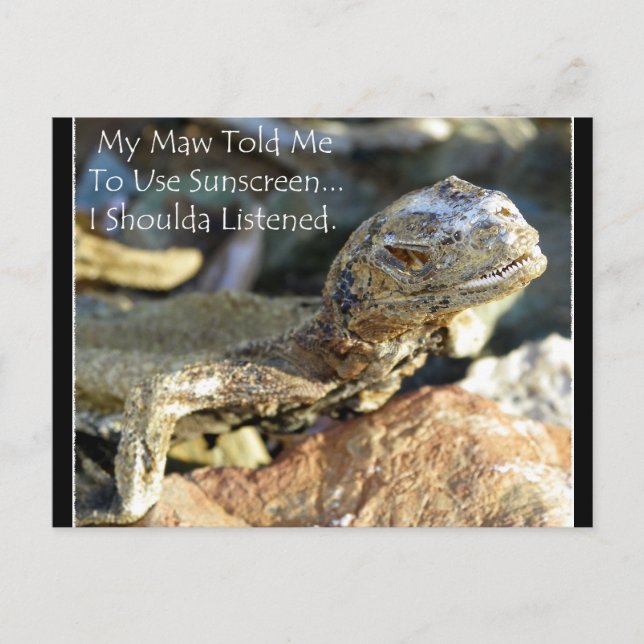 Carte Postale "Maw connaît mieux" (Devant)