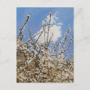 Carte Postale Mayflower 2012