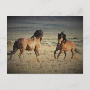 Carte Postale McCullough Peaks Cheaks sauvages