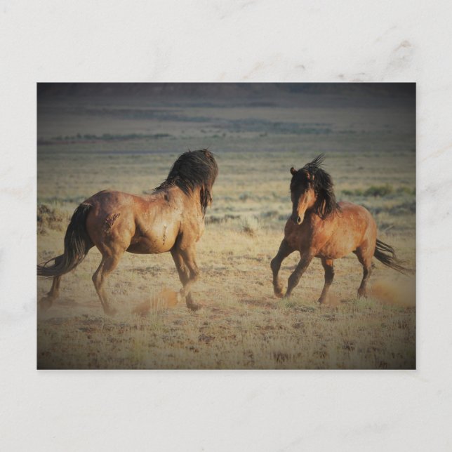 Carte Postale McCullough Peaks Cheaks sauvages (Devant)