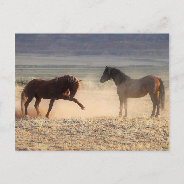Carte Postale McCullough Peaks Cheaks sauvages (Devant)