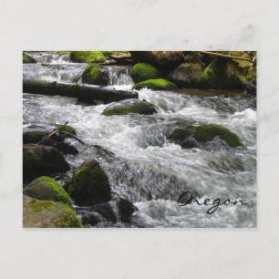 Carte Postale McDowell Creek, Oregon