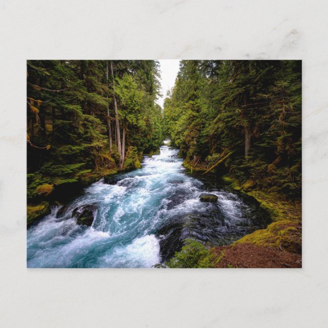 Carte Postale McKenzie River, Oregon, photo pittoresque (Devant)