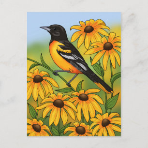 Carte Postale MD State Bird Oriole & Black eyed Susan Flower