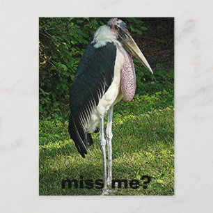 Carte Postale me manque ?