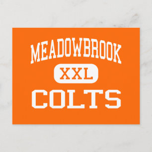 Carte Postale Meadowbrook - Colts - Lycée - Byesville Ohio