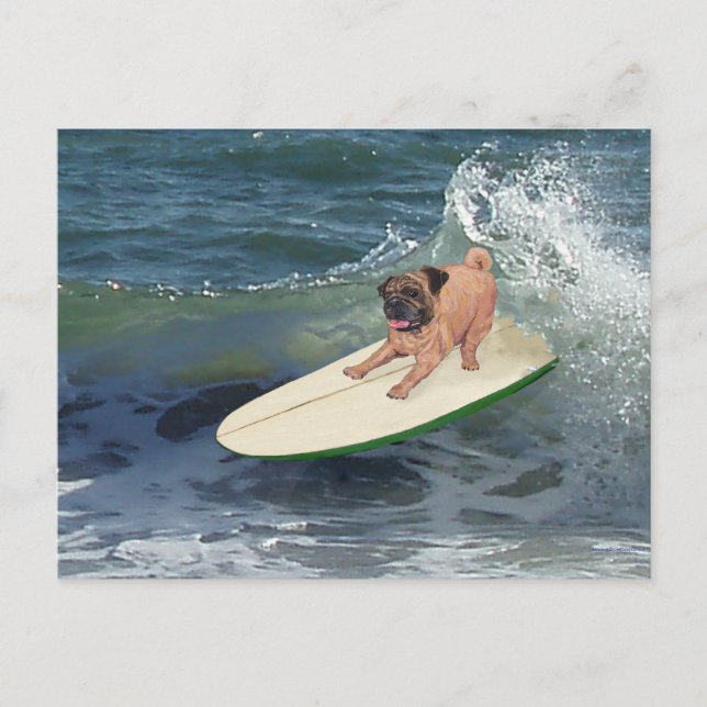 Carte Postale Mec surfeur Pug (Devant)