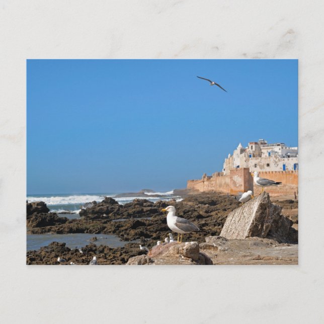 Carte Postale Médina d'Essaouira et la côte atlantique (Devant)
