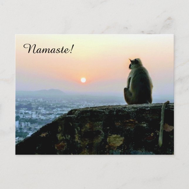 Carte Postale Méditation Namaste Singe de Yoga en Inde au couche (Devant)