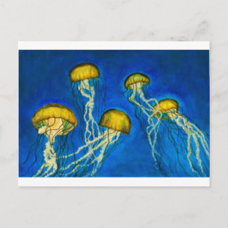 Carte Postale Méduse