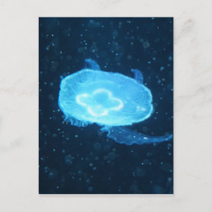 Carte Postale Méduse bleue nageant