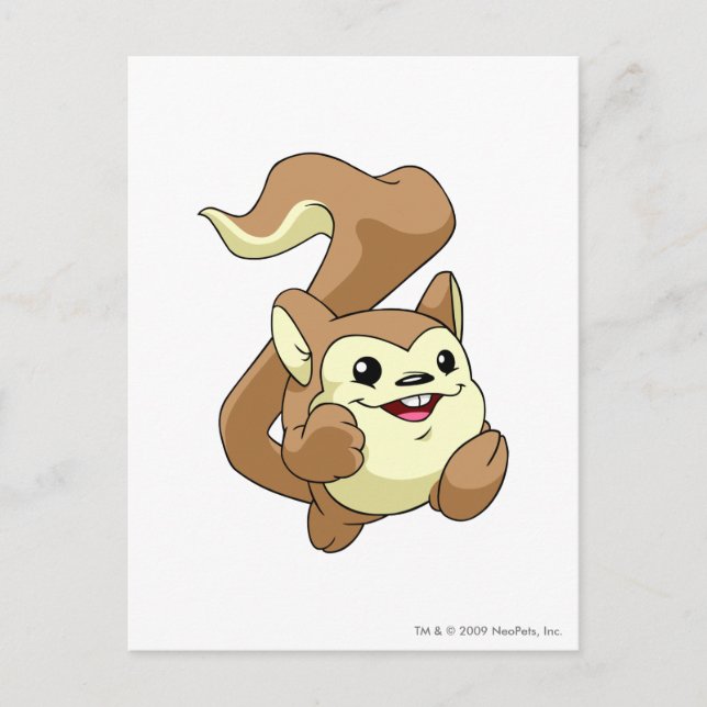 Carte Postale Meerca Brown (Devant)