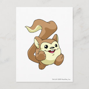 Carte Postale Meerca Brown