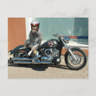 Carte postale Meerhorse