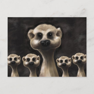 Carte postale Meerkat