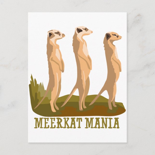 Carte Postale Meerkat Mania (Devant)