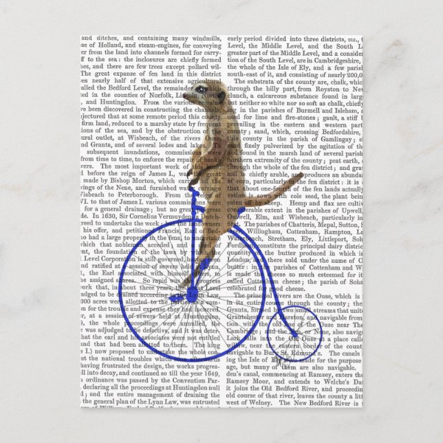 Carte Postale Meerkat Sur Blue Penny Farthing (Devant)