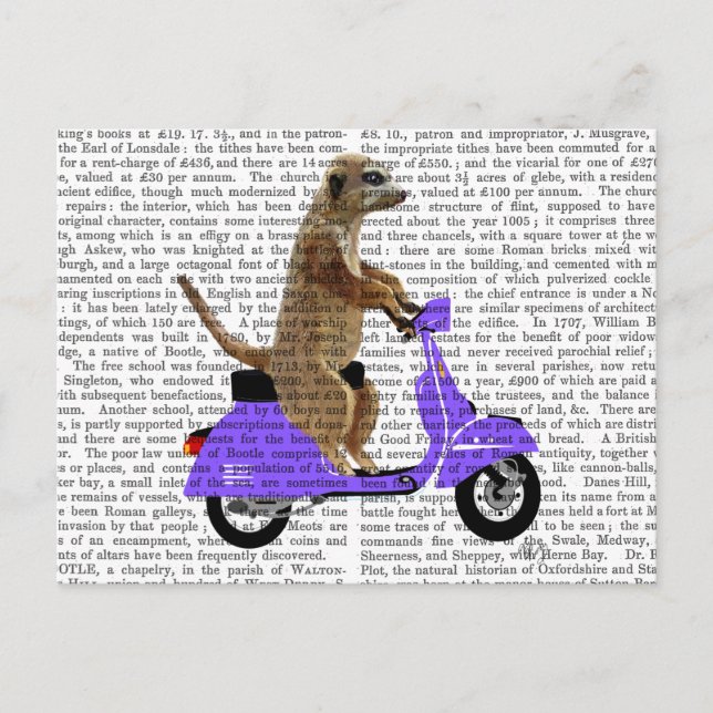 Carte Postale Meerkat sur Lilac Moped (Devant)