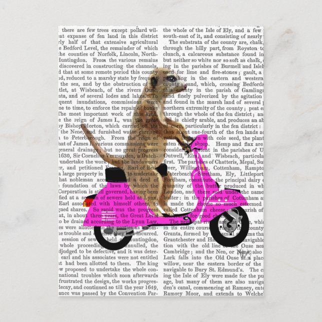 Carte Postale Meerkat sur Pink Moped (Devant)